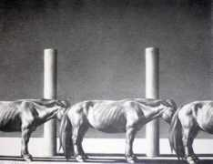 blog.artbrokerage.com Xinping