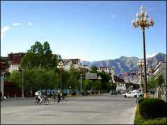 china.org.cn Xinxia