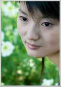 .xitek.com Xinxia