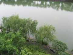 panoramio.com Xitang