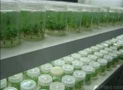 chemical-plant.com Xiushan