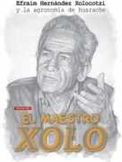 madrimasd.org Xolocotzi
