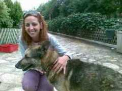 kazshelter.org Xristakos