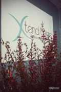 Xtend