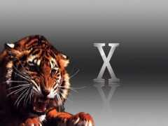 macmonkies.com Xtiger