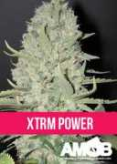 Xtrm