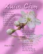 Xuancam