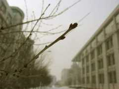 chillywind.bokee.com Xuhua