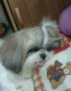 Xyril