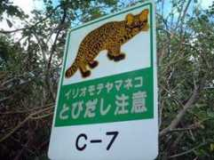 Yamaneko