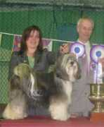 yuliatibetanterriers.co.uk Yamilla