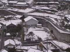 kochischool.net Yanagino