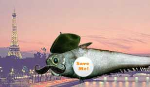 savethehighseas.org Yenita