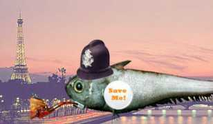 savethehighseas.org Yenita