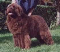 Yericho