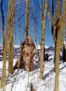 Yetis