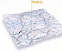 Yonal