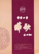 Youka