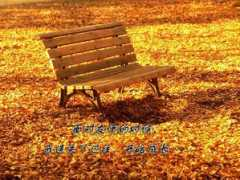 ghostyyj.bokee.com Youqing