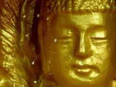 amazingdata.com Youtan