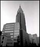panoramio.com Yoyogi