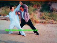 tanglang.free.fr Yuanliang