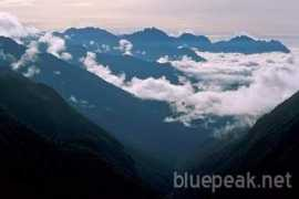 bluepeak.net Zaag