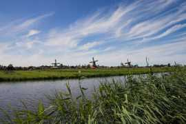 Zaanse