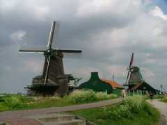 Zaanse