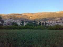panoramio.com Zabadani