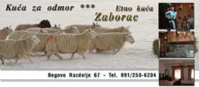 Zaborac