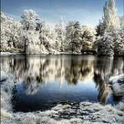 photoforum.ru Zaborowski