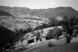 Zabur