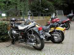 lazymotorbike.eu Zadel