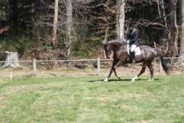 ludanchelo.nl Zafiera