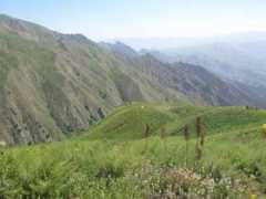 Zaghar