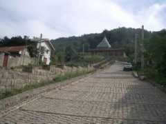 Zahed