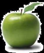 Zaheed