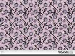 colourlovers.com Zahrin