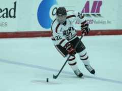 brownbears.com Zaires