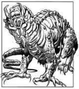 arcallis.wikidot.com Zakhara
