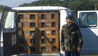 pigeonsincombat.com Zakutansky