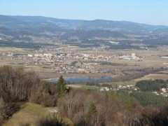 Zalec