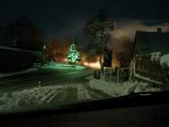 Zalec