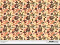 colourlovers.com Zalmon