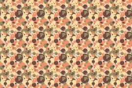 colourlovers.com Zalmon