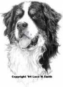 bernese.biz Zaltana