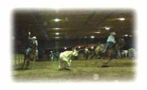 foxlairstables.com Zalvin