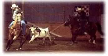 foxlairstables.com Zalvin