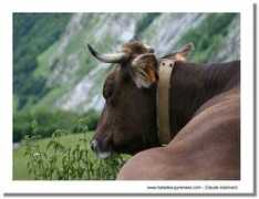 balades-pyrenees.com Zambeaux